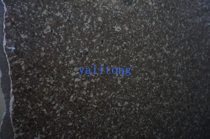 Deer Brown G648 Granite Slabs